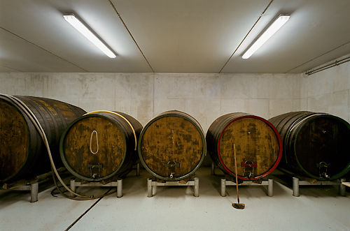 Ein Foto von Rupert Steiner