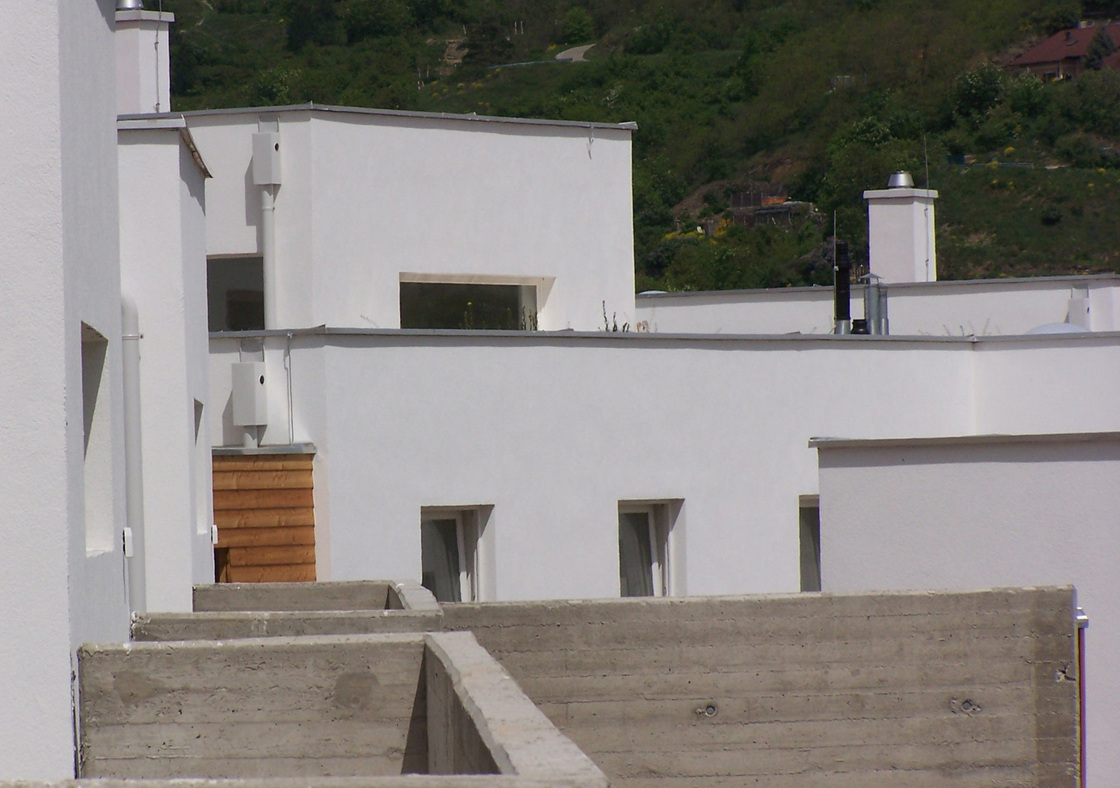 Ein Foto von Franziska Leeb