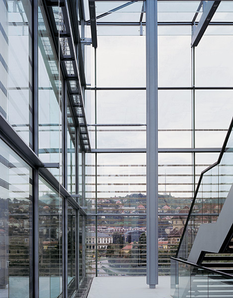 Ein Foto von Brigida Gonzalez