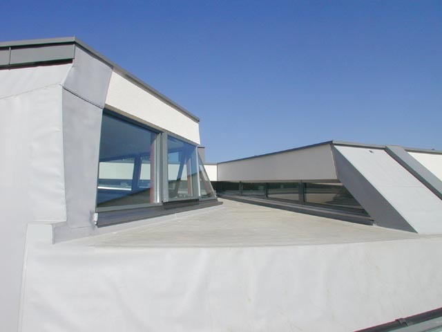 Ein Foto von Susanne Boyer