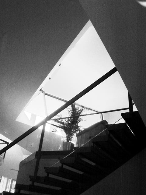 Ein Foto von Susanne Boyer