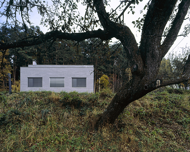 Ein Foto von Dietmar Tollerian