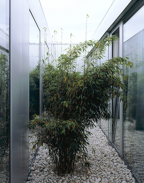 Ein Foto von Dietmar Tollerian