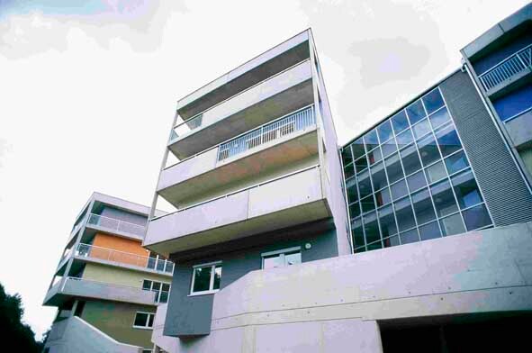 Ein Foto von Johanna Hofleitner