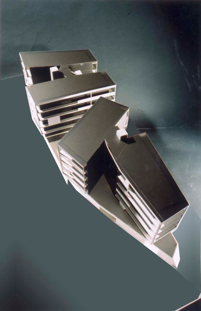 Ein Foto von Martin Flatz