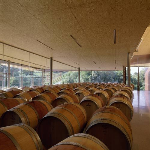 Ein Foto von Paul Ott