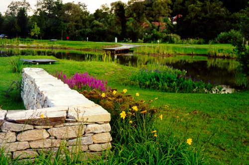 Ein Foto von János Kárász