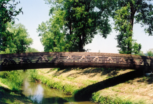 Ein Foto von János Kárász