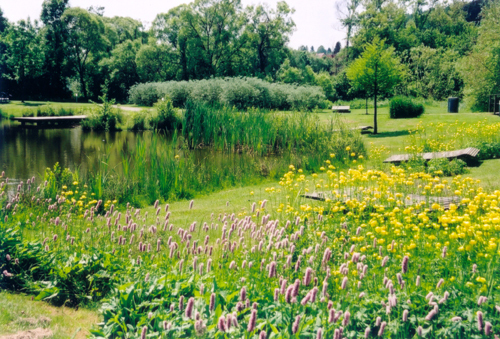 Ein Foto von János Kárász