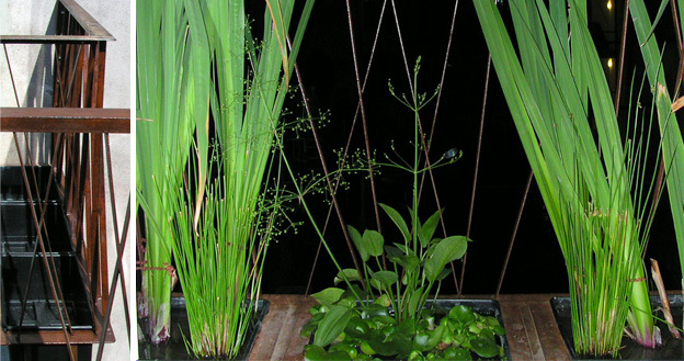 Ein Foto von Markus Zilker