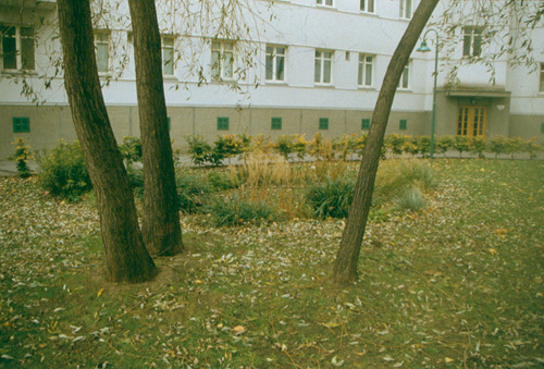 Ein Foto von Pez Hejduk