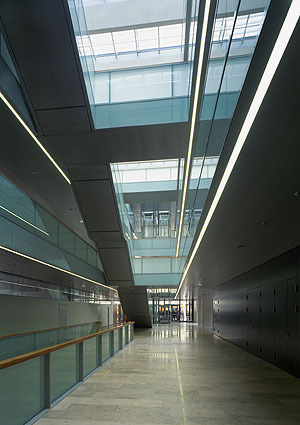 Ein Foto von Rupert Steiner