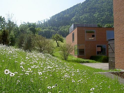 Ein Foto von Elisabeth Gruber