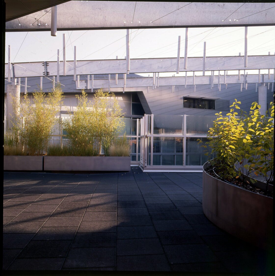 Ein Foto von Zita Oberwalder