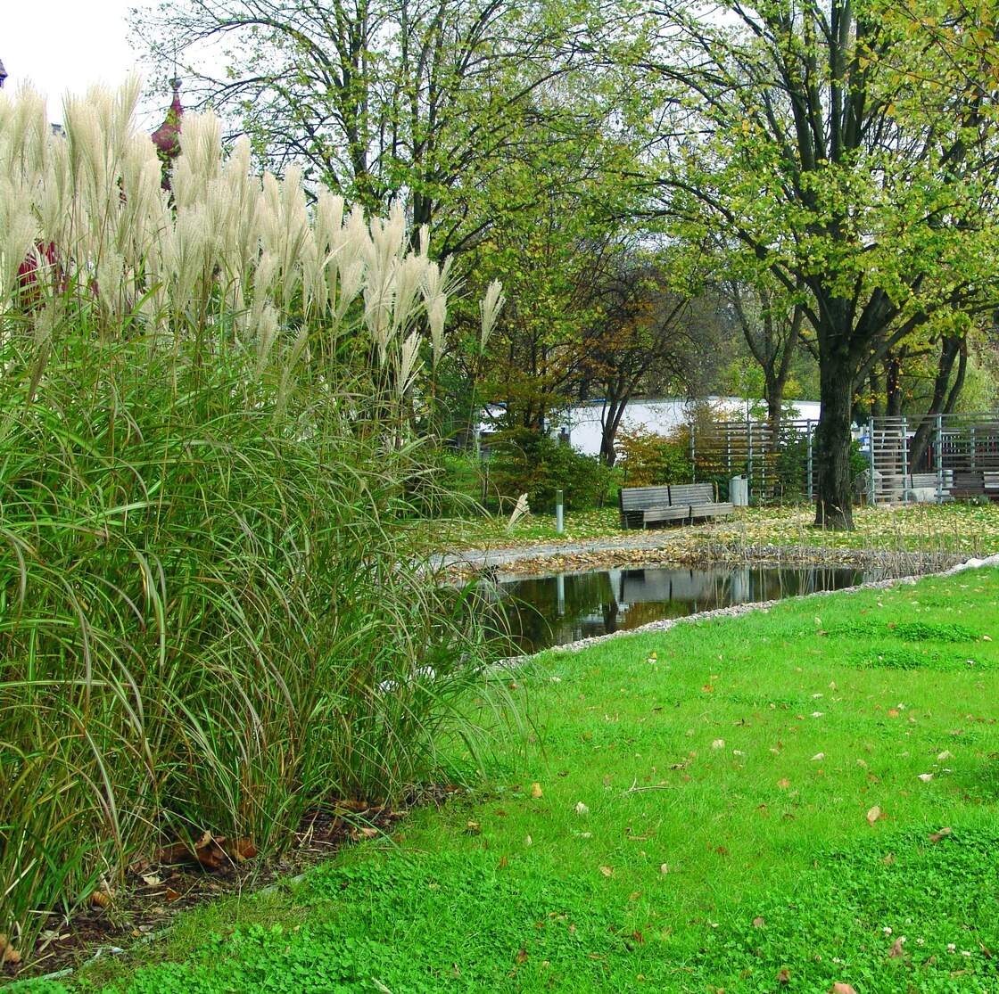 Ein Foto von János Kárász