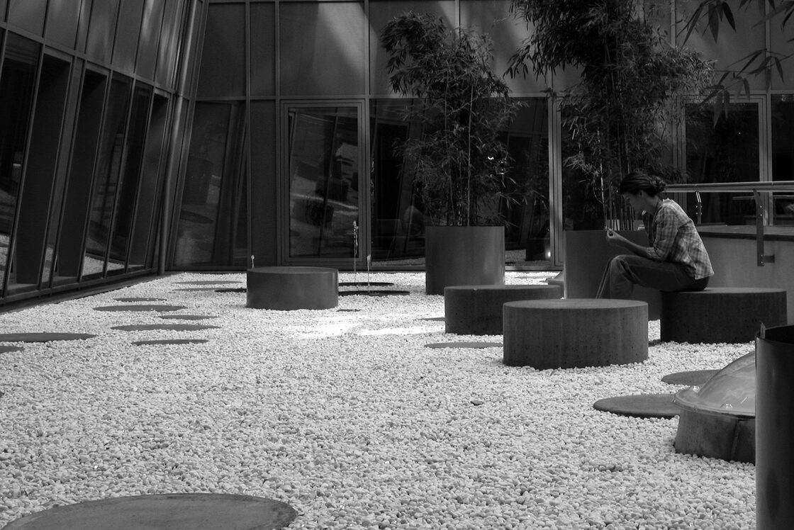 Ein Foto von Rego, Bobal