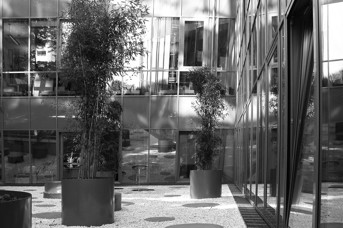 Ein Foto von Rego, Bobal