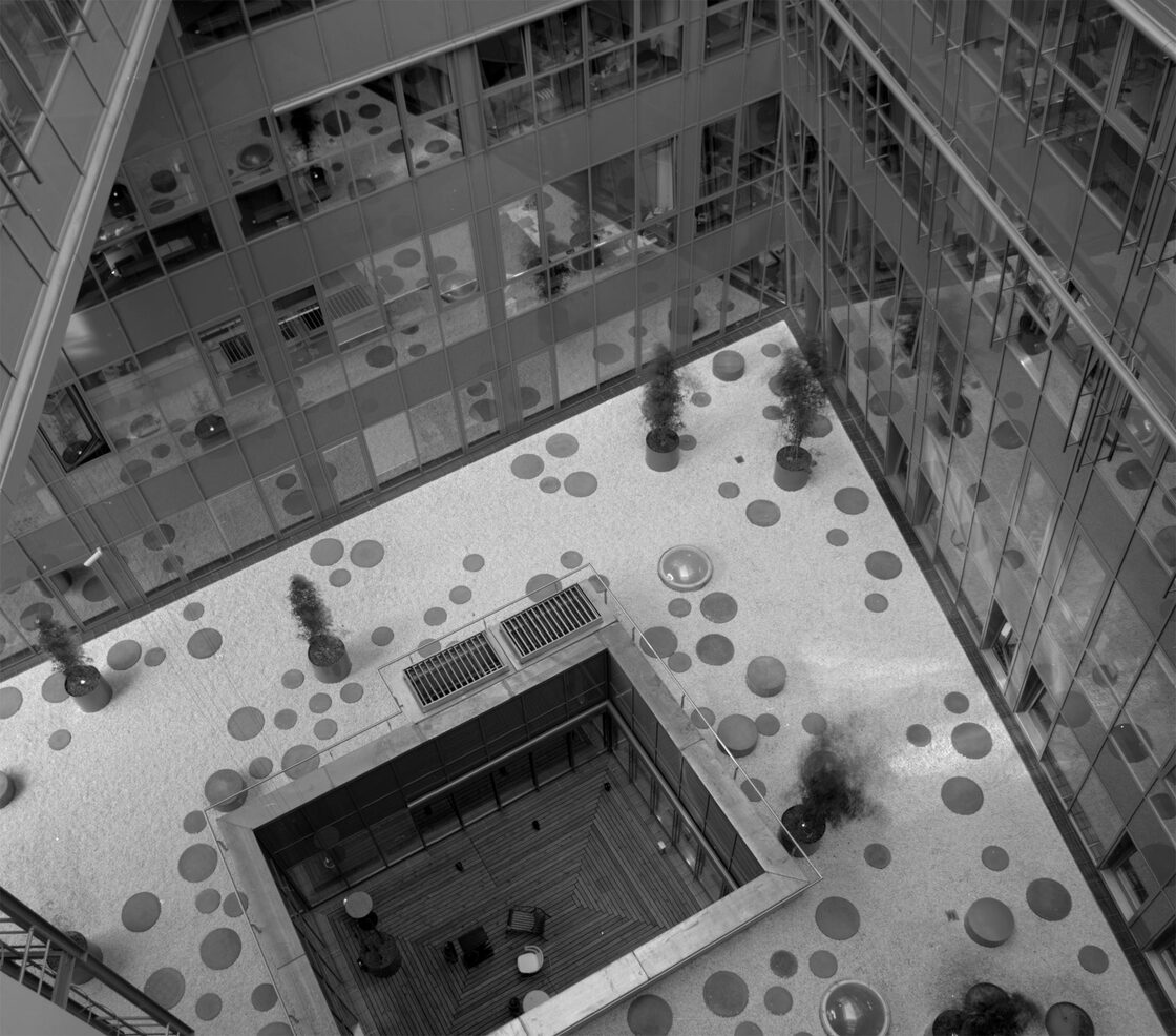 Ein Foto von Rego, Bobal