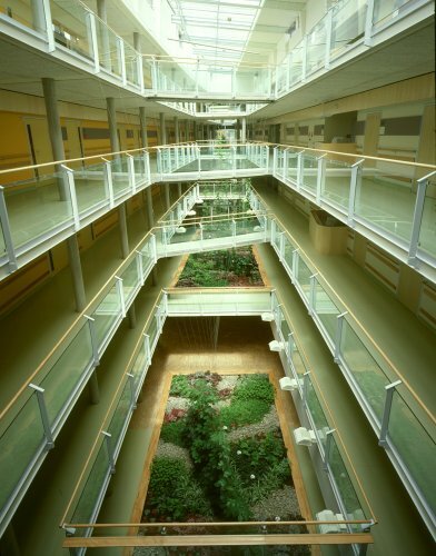 Ein Foto von Pez Hejduk