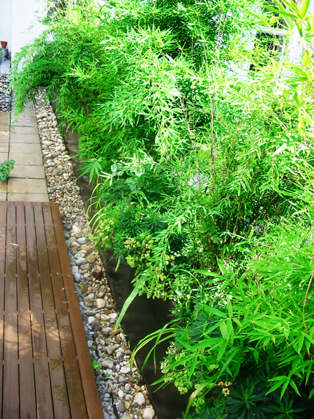 Ein Foto von Heinz Schmölzer