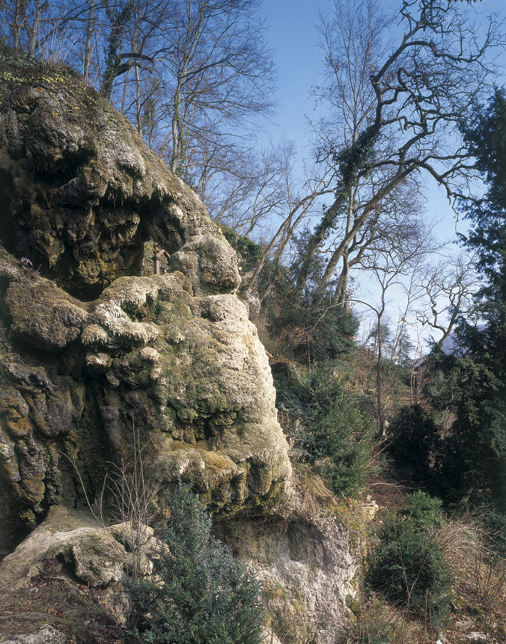 Ein Foto von Roger Frei