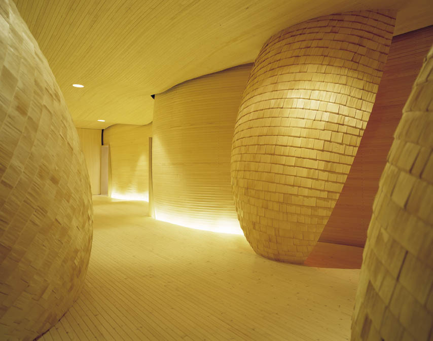 Ein Foto von Mila Hacke