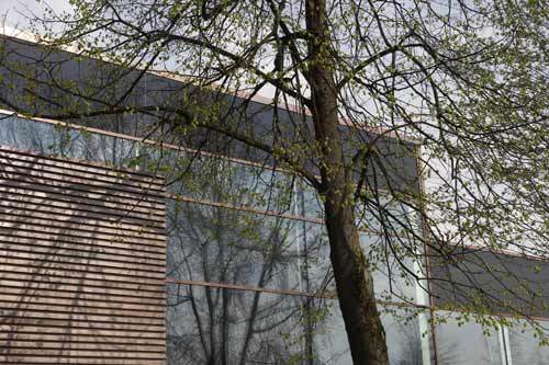 Ein Foto von Hanspeter Schiess