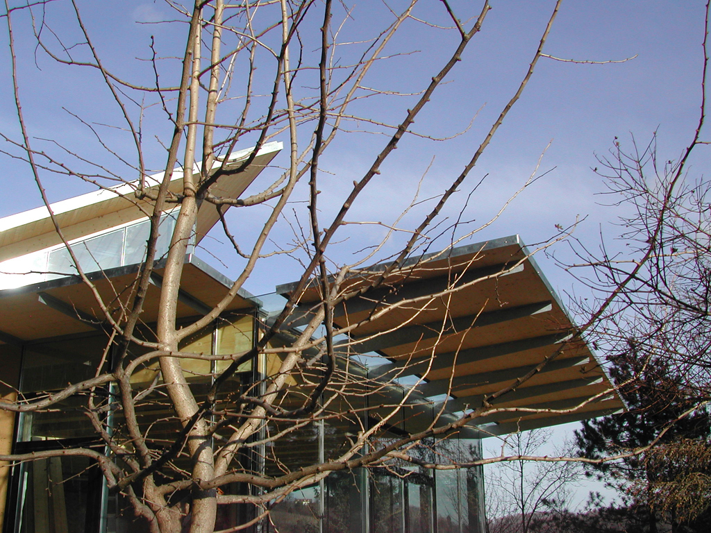 Ein Foto von Michael Homann