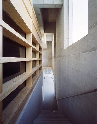 Ein Foto von Lukas Schaller