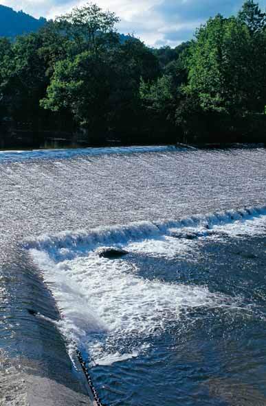 Ein Foto von Lada Blazevic