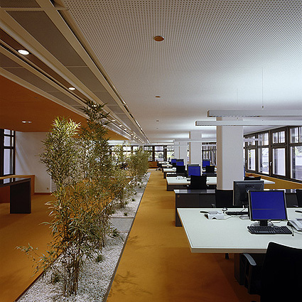 Ein Foto von Paul Ott