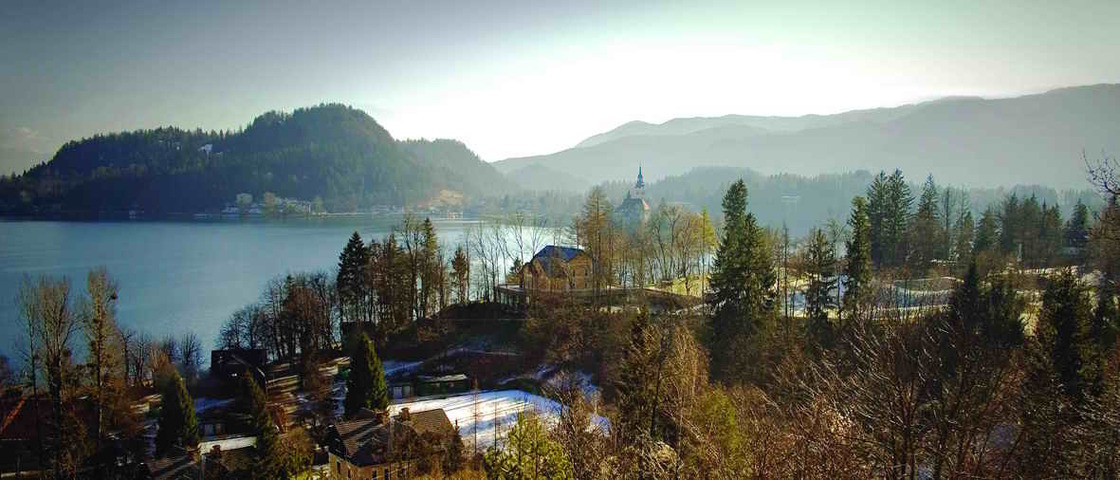 Ein Foto von Tomaž Gregorič