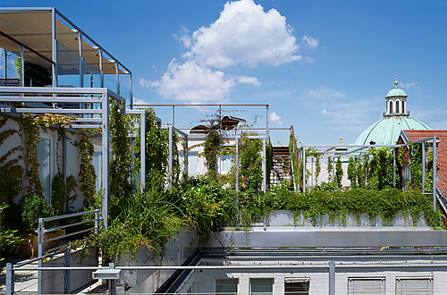 Ein Foto von Rupert Steiner