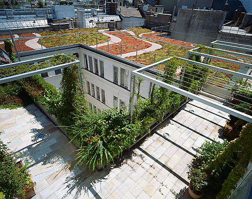 Ein Foto von Rupert Steiner