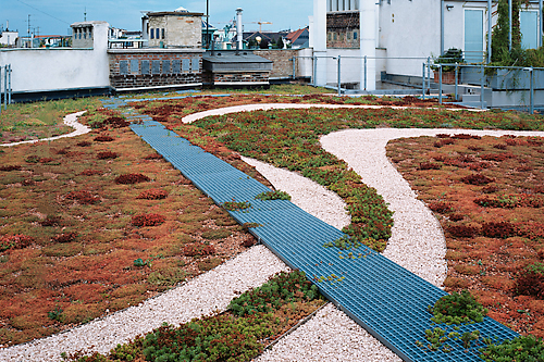 Ein Foto von Rupert Steiner