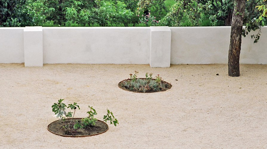 Ein Foto von Reinhard Mayr