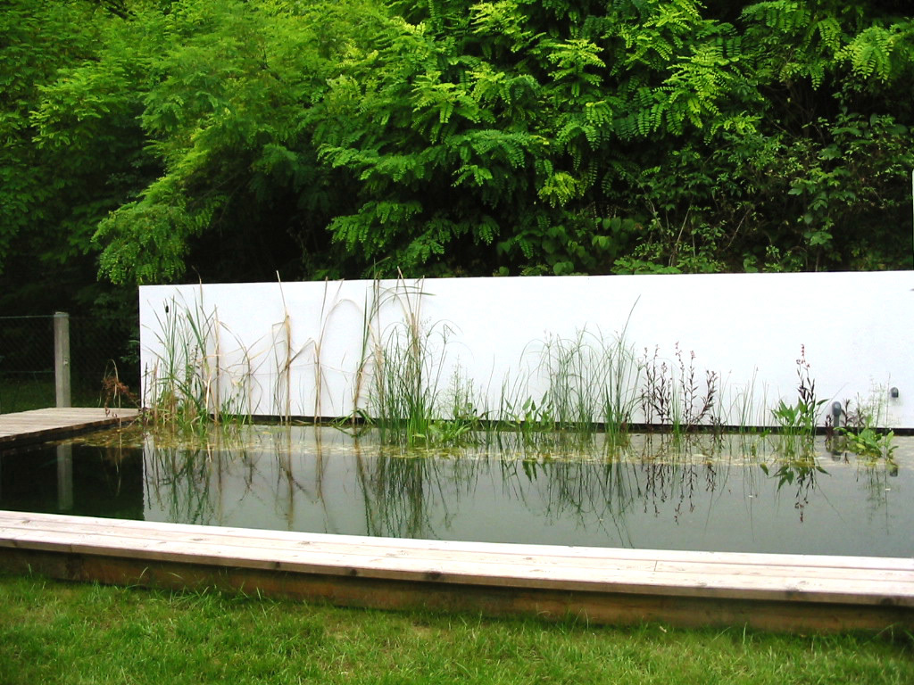 Ein Foto von Karin Standler