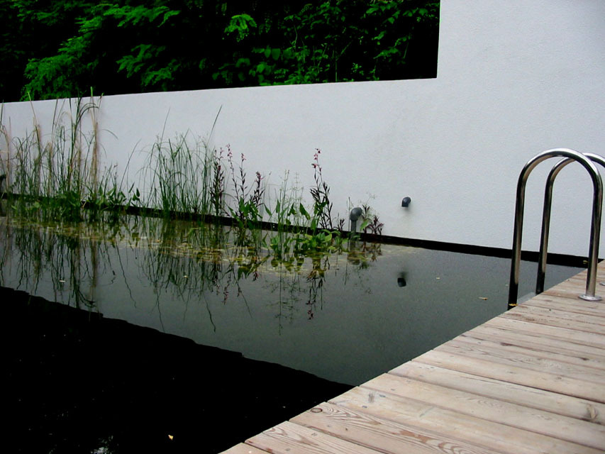 Ein Foto von Karin Standler