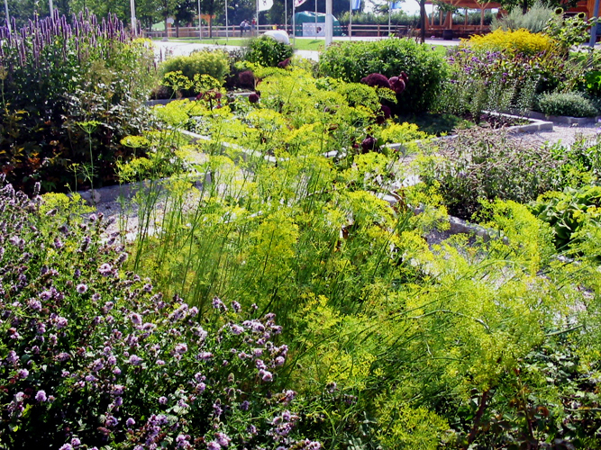 Ein Foto von Karin Standler