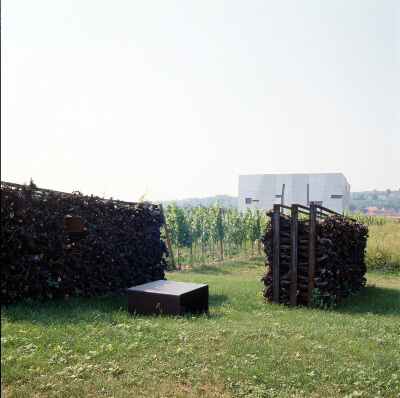 Ein Foto von koala Landschaftsarchitektur