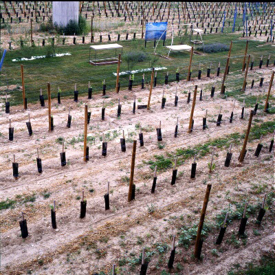 Ein Foto von Zita Oberwalder