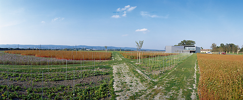 Ein Foto von Rupert Steiner