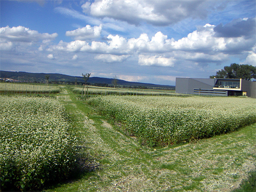 Ein Foto von 3:0 Landschaftsarchitektur