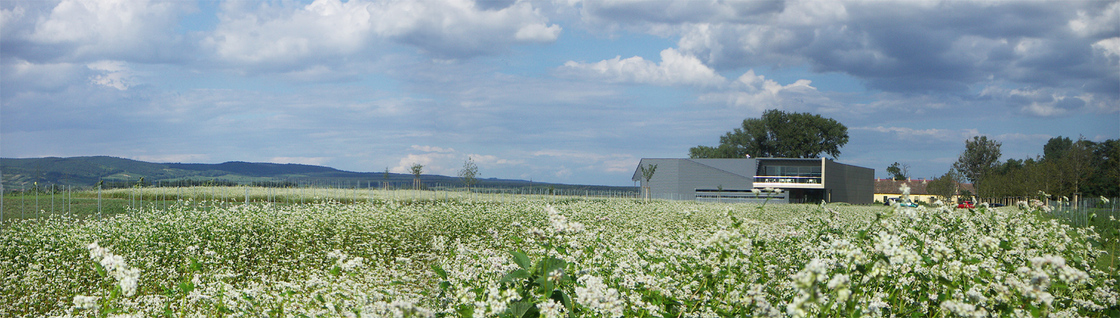 Ein Foto von 3:0 Landschaftsarchitektur