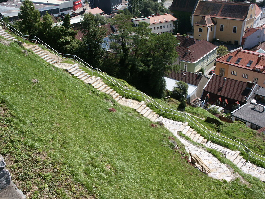 Ein Foto von freiland