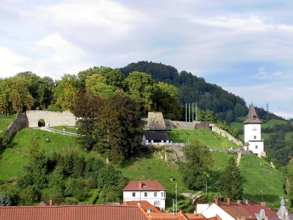 Ein Foto von freiland