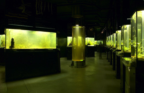 Ein Foto von Dieter Schewig