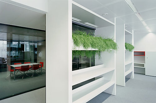 Ein Foto von Rupert Steiner