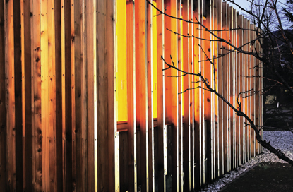 Ein Foto von Bor Dobrin