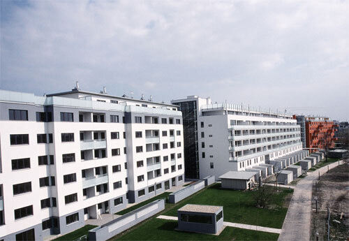 Ein Foto von Friedrich Achleitner